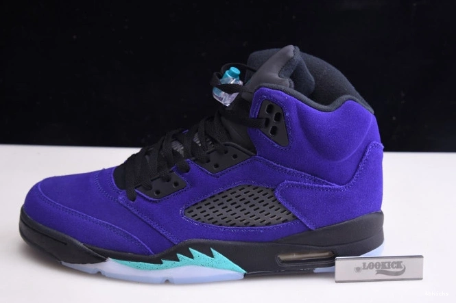 TB Jordan Air Retro Grape 136027-500 5 Alternate 0702